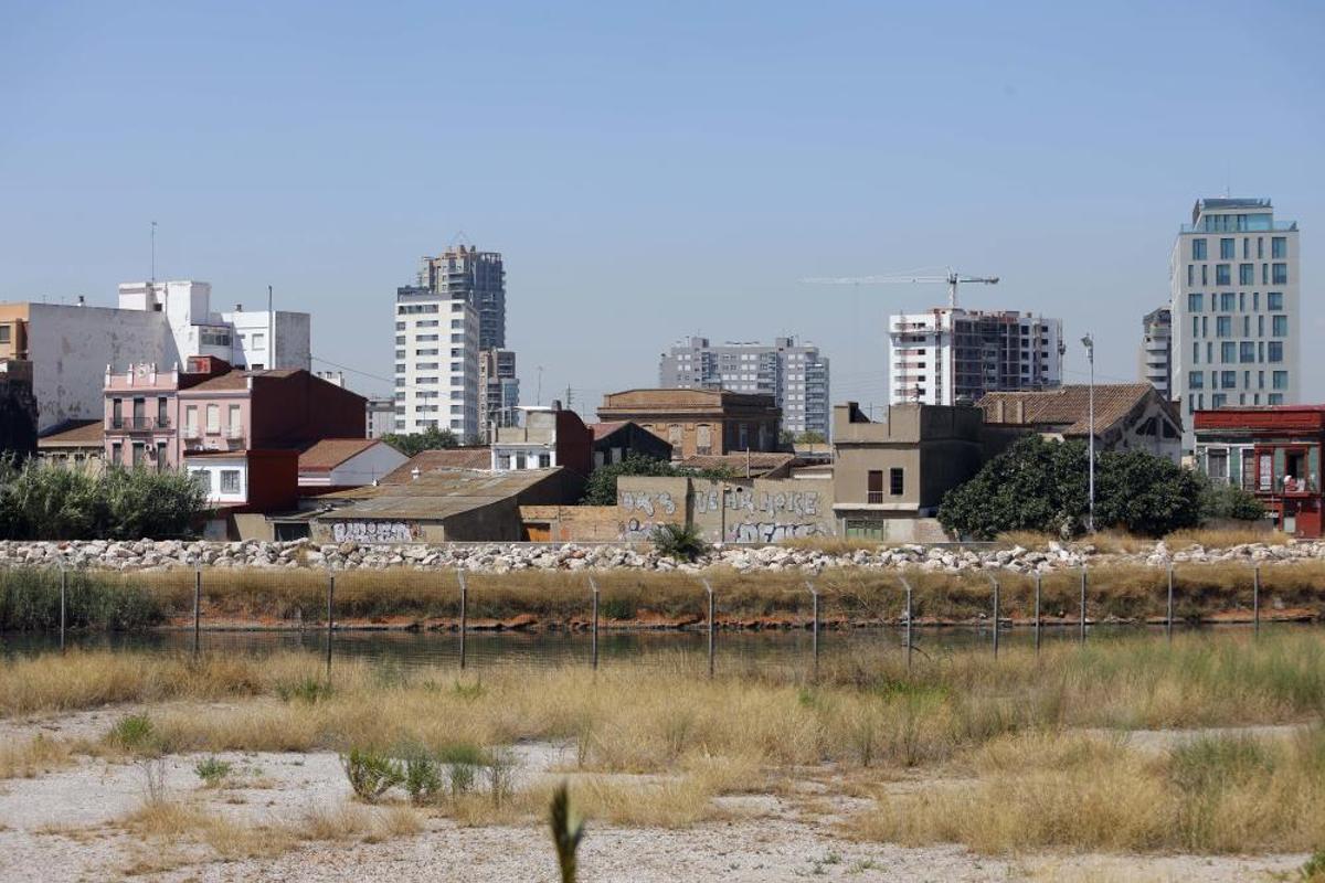 València tendrá un gran delta verte València tendrá un gran delta verte