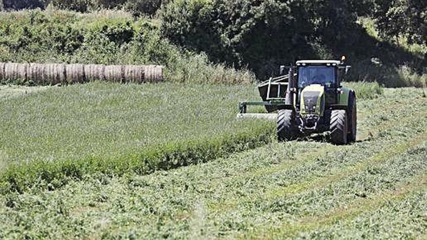 Un agricultor fent la sega, a Púbol