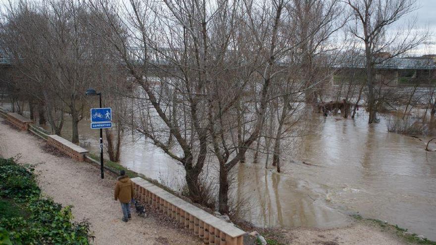 El caudal del Duero comienza a bajar