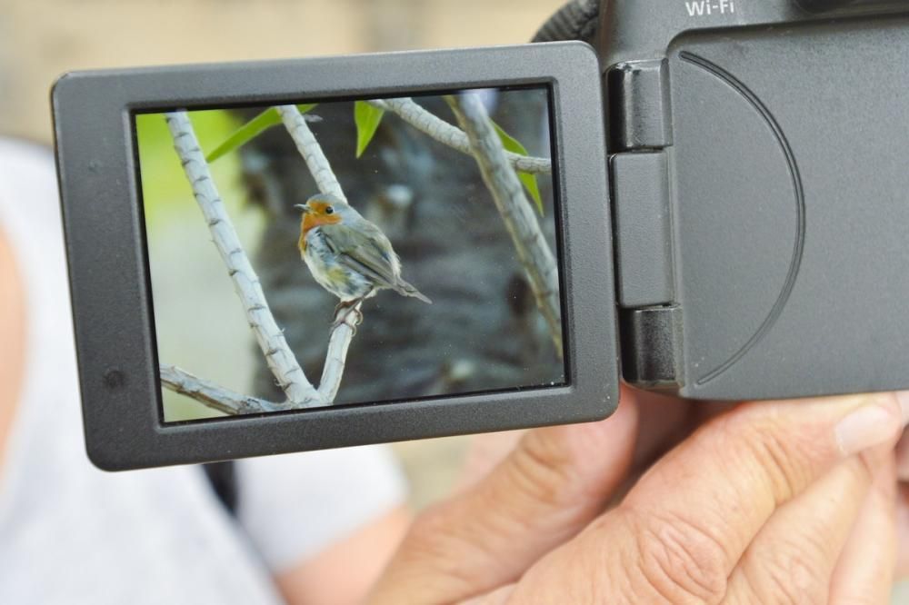 El Jardín Canario para evadirse del confinamiento