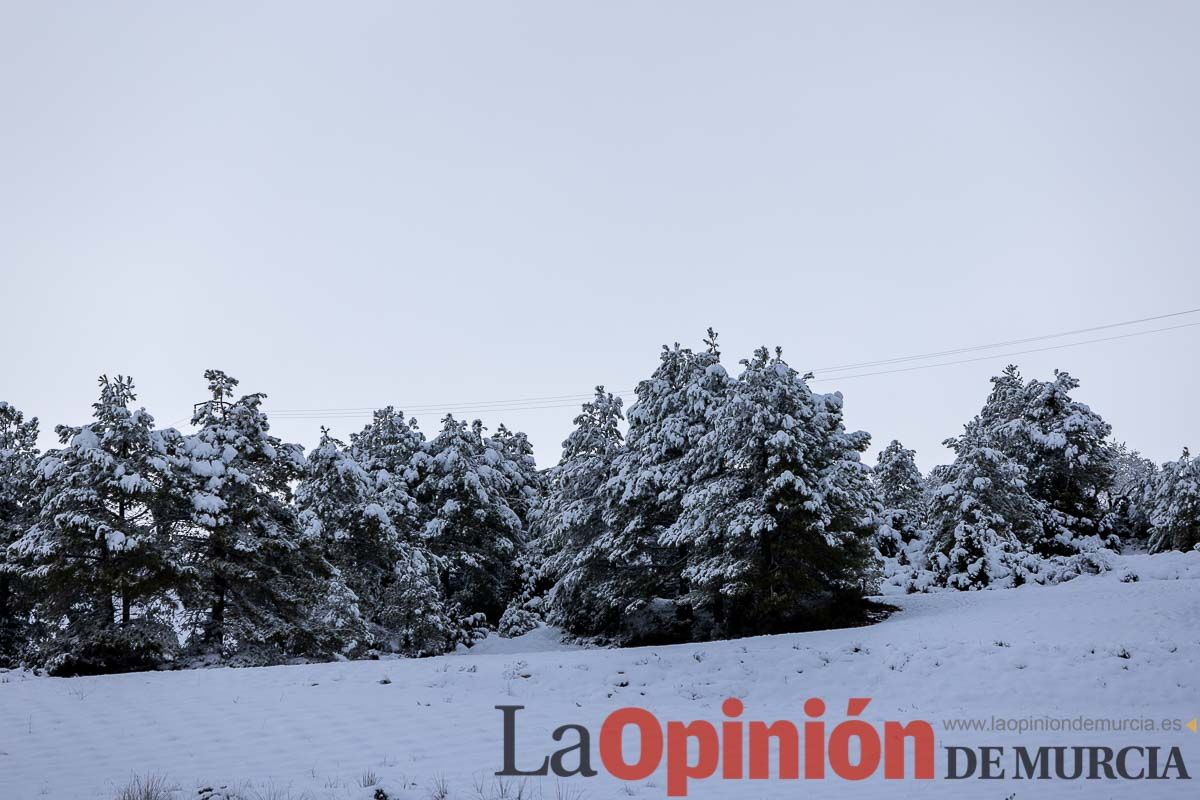 La comarca del Noroeste ofrece una estampa invernal