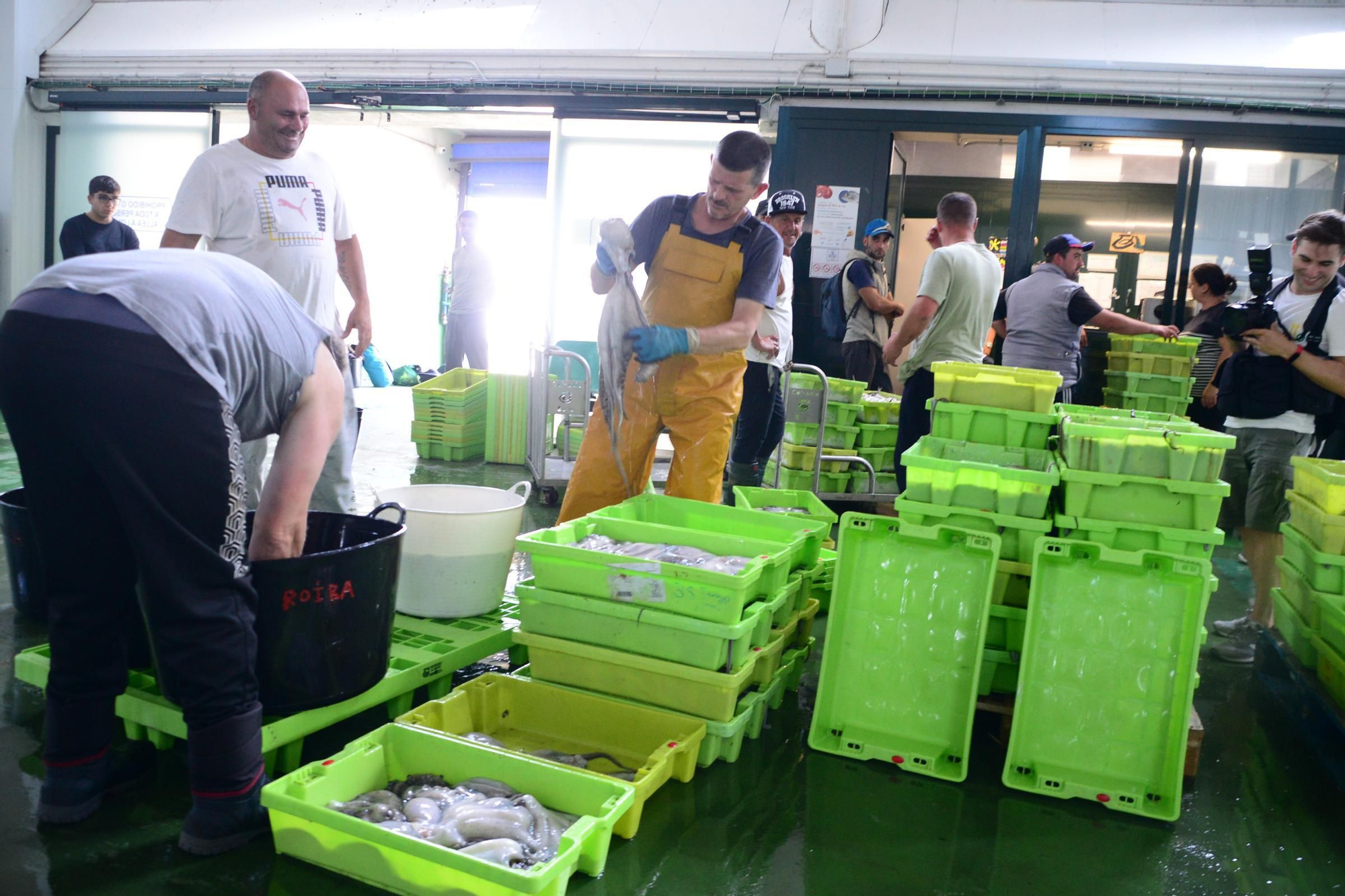El inicio de la campaña del pulpo en el puerto de Bueu
