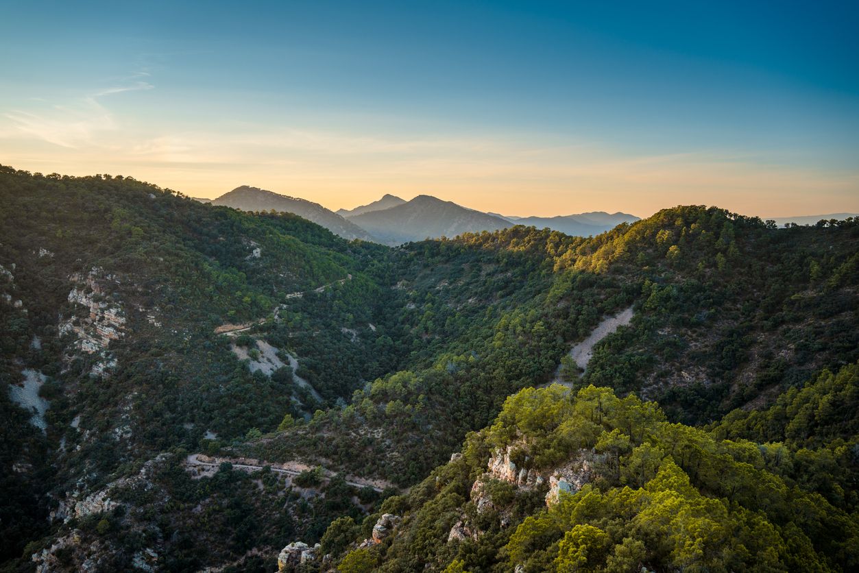 Castellón es también embobarse con su naturaleza.
