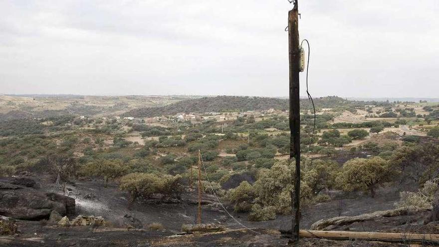 Tendido telefónico quemado en el incendio forestal con Pinilla de Fermoselle al fondo.