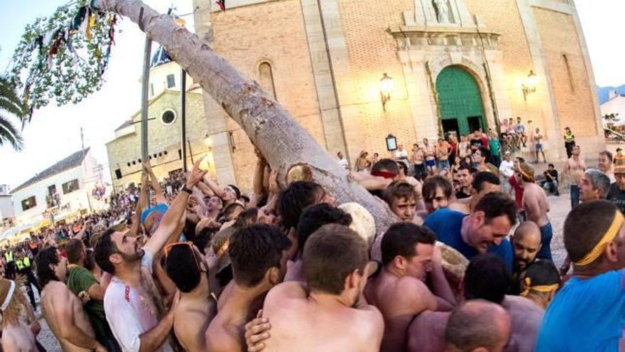 Altea pide la declaración de la fiesta de «L&#039;Arbret» como Bien de Relevancia Local