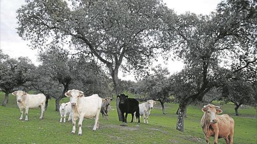 La compraventa de fincas agrarias crece al nivel más alto desde 2008