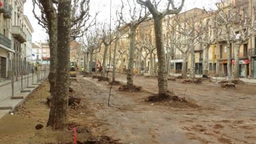 Els arbres del Firal sense les lloses del paviment, ahir a la tarda.