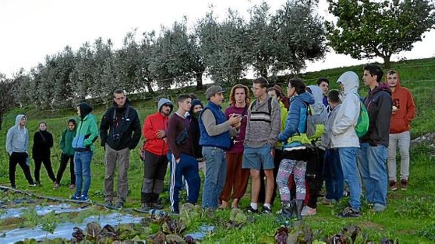 Els estudiants van visitar quatre explotacions agràries de la Toscana
