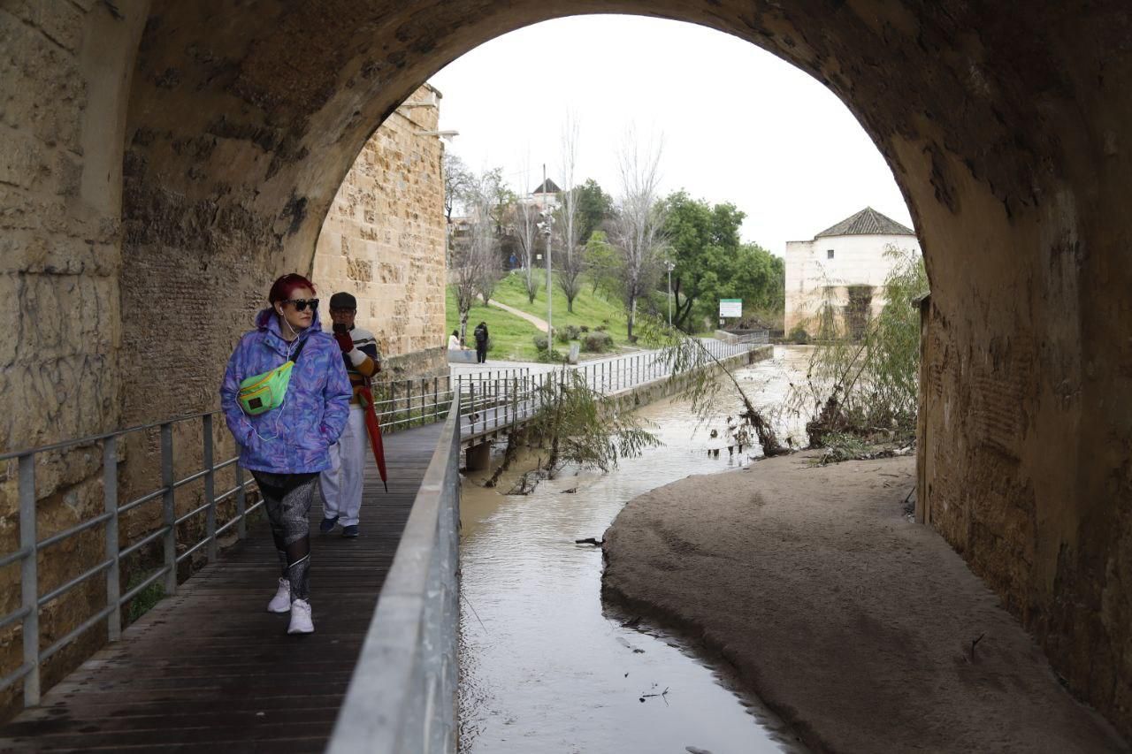Sadeco culmina la limpieza de las zonas alcanzadas por el río