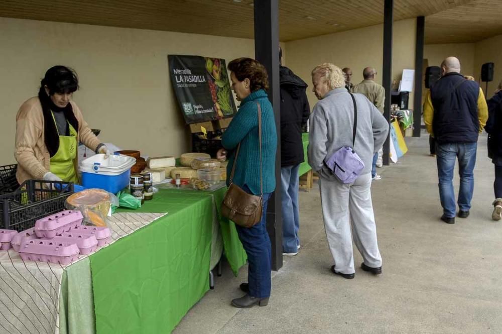 Mercado de berros a 1 euro en Ingenio