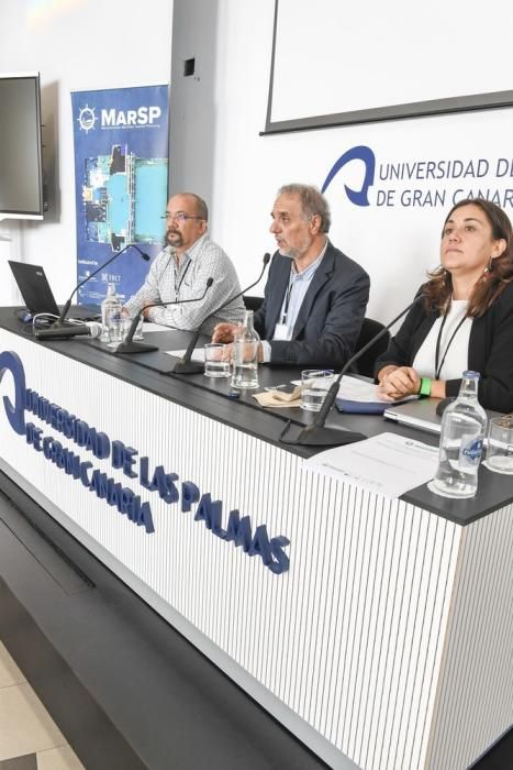 Reunión final del proyecto europeo MarSP para informar sobre la Ordenación Espacial Marina en Canarias