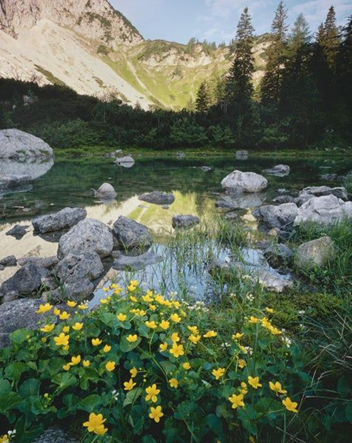 Parque Nacional Gesäuse (Austria)