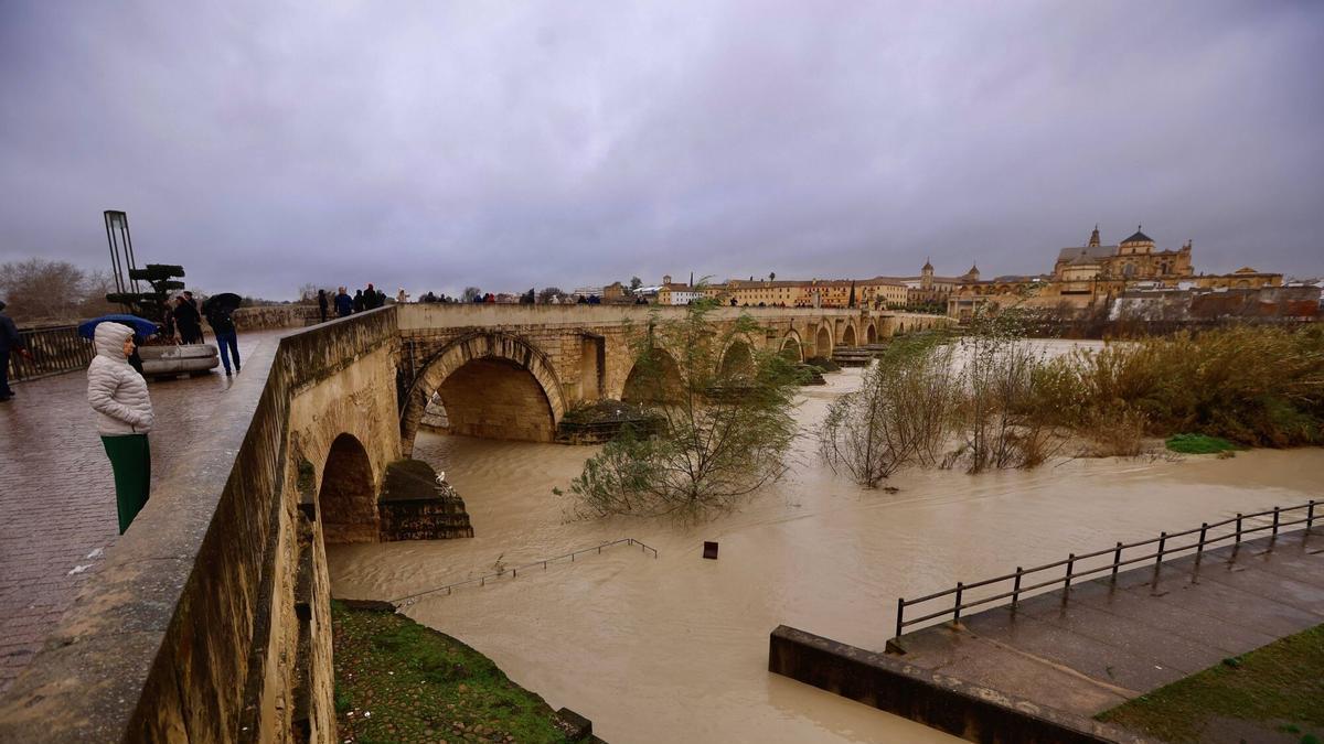 VÍDEO | Así esta la situación del río Guadalquivir en Córdoba