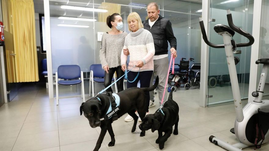 Clases perrunas  contra el párkinson