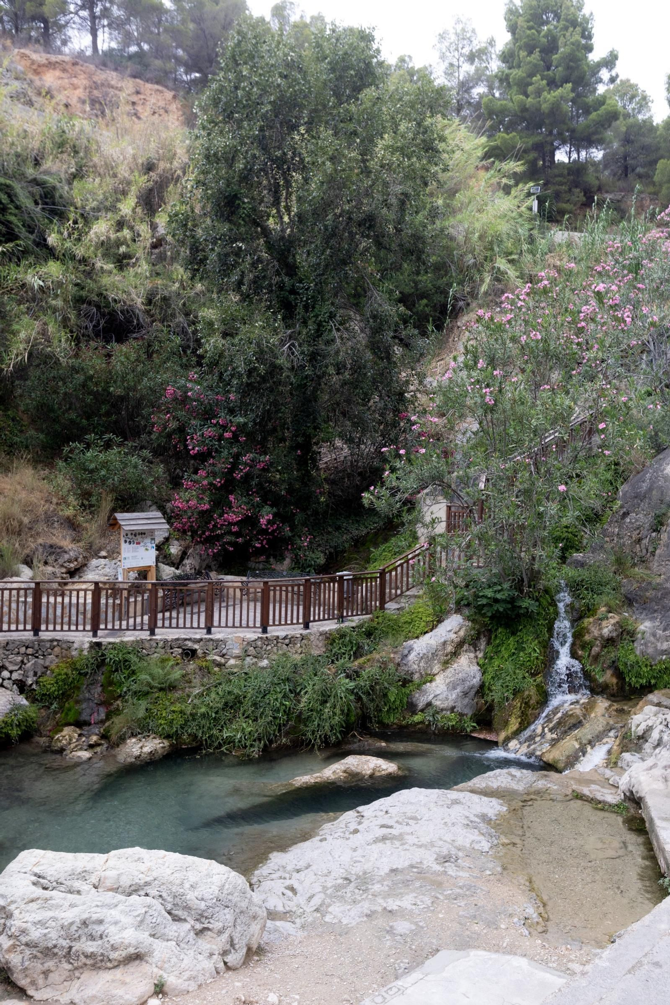 Las Fuentes del Algar, cerradas por contaminación biológica