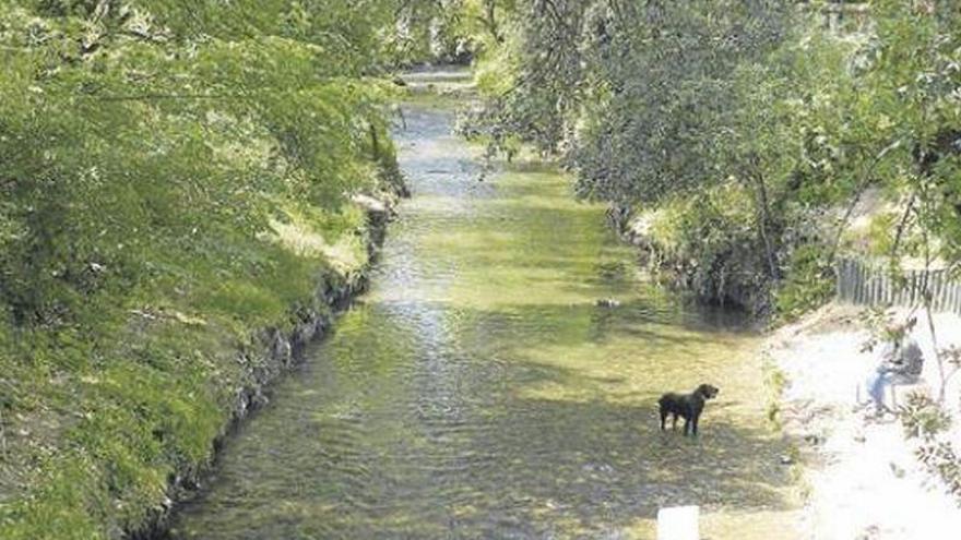 C&#039;s plantea dos pasarelas en el río Huerva para que deje de ser una cicatriz