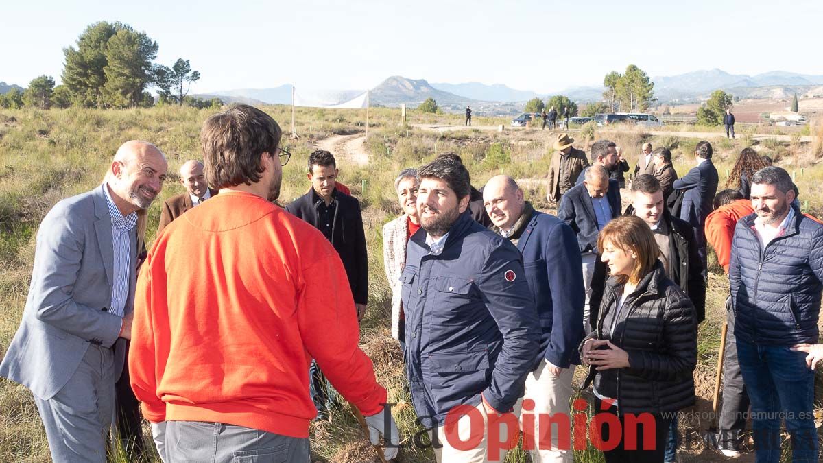 Bosque Disfrimur