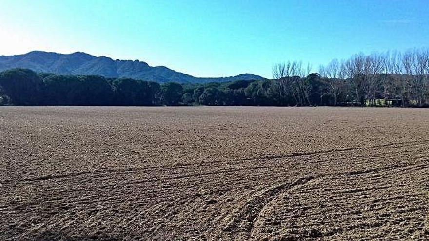 Santa Cristina suspèn el projecte urbanístic de la Riera dels Molinets