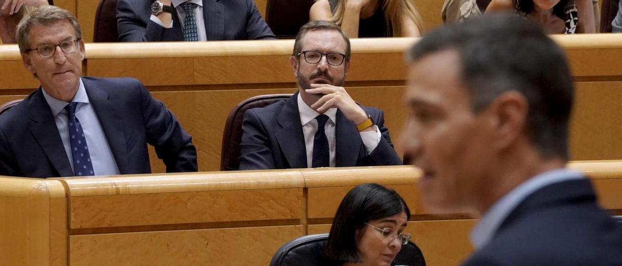 Feijóo escolta Pedro Sánchez durant una de les seves intervencions al Senat. | JOSÉ LUIS ROCA