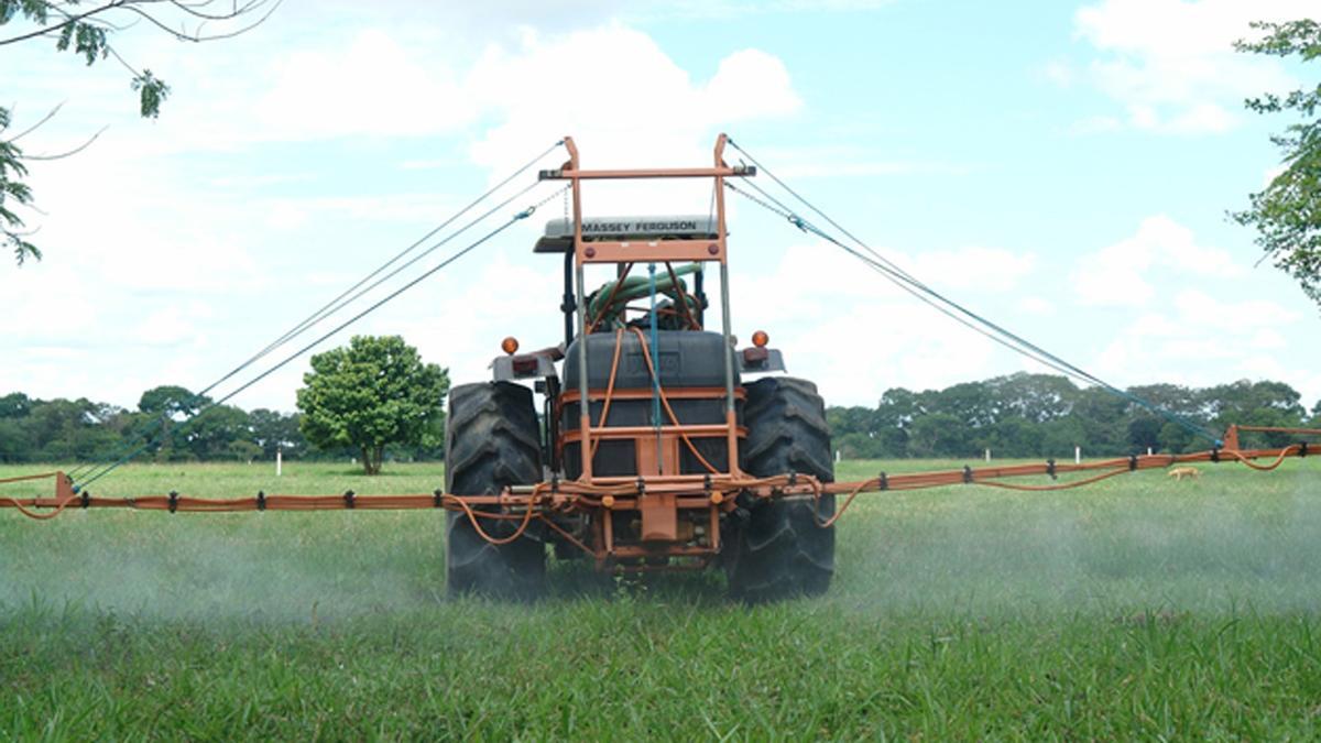 Confiscan 23 toneladas de pesticidas y 20 de naranjas contaminadas en la Comunitat Valenciana