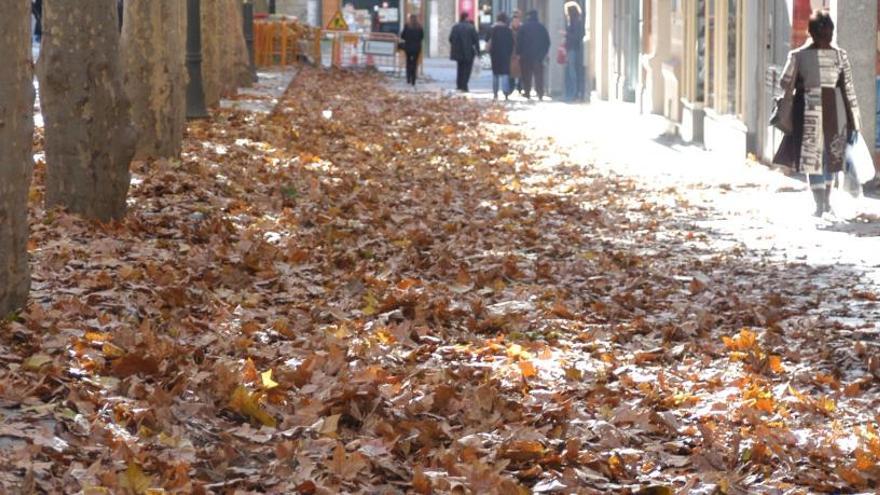 Acumulació de fulles a Manresa