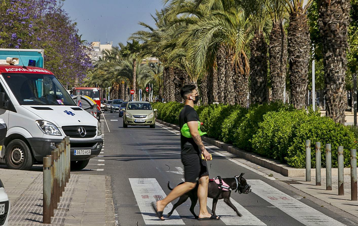 Un joven en un paso de peatones en la avenida Periodista Rodolfo Salazar. | HÉCTOR FUENTES