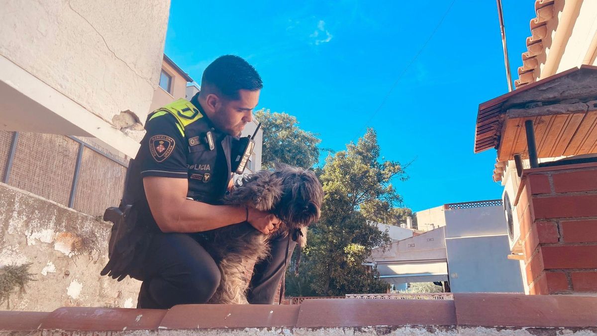 La Guardia Urbana rescata a un perro en el Guinardó que vivía en condiciones "muy deficientes"