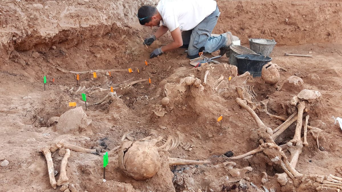 Un arqueólogo, trabajando en la fosa, ante restos óseos desenterrados.