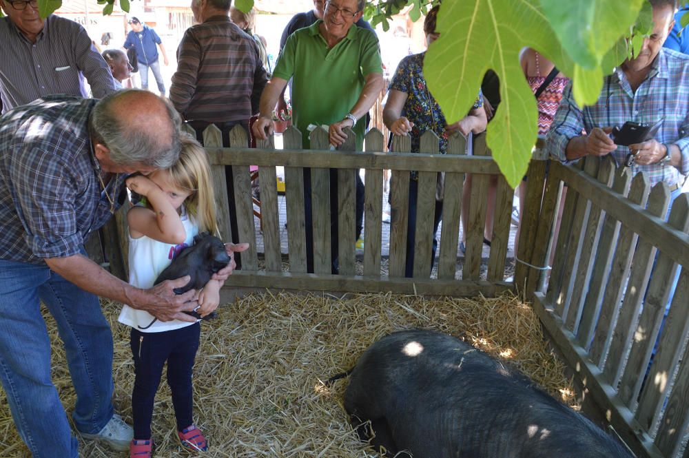 El 'porc negre', estrella de la feria de Son Carrió