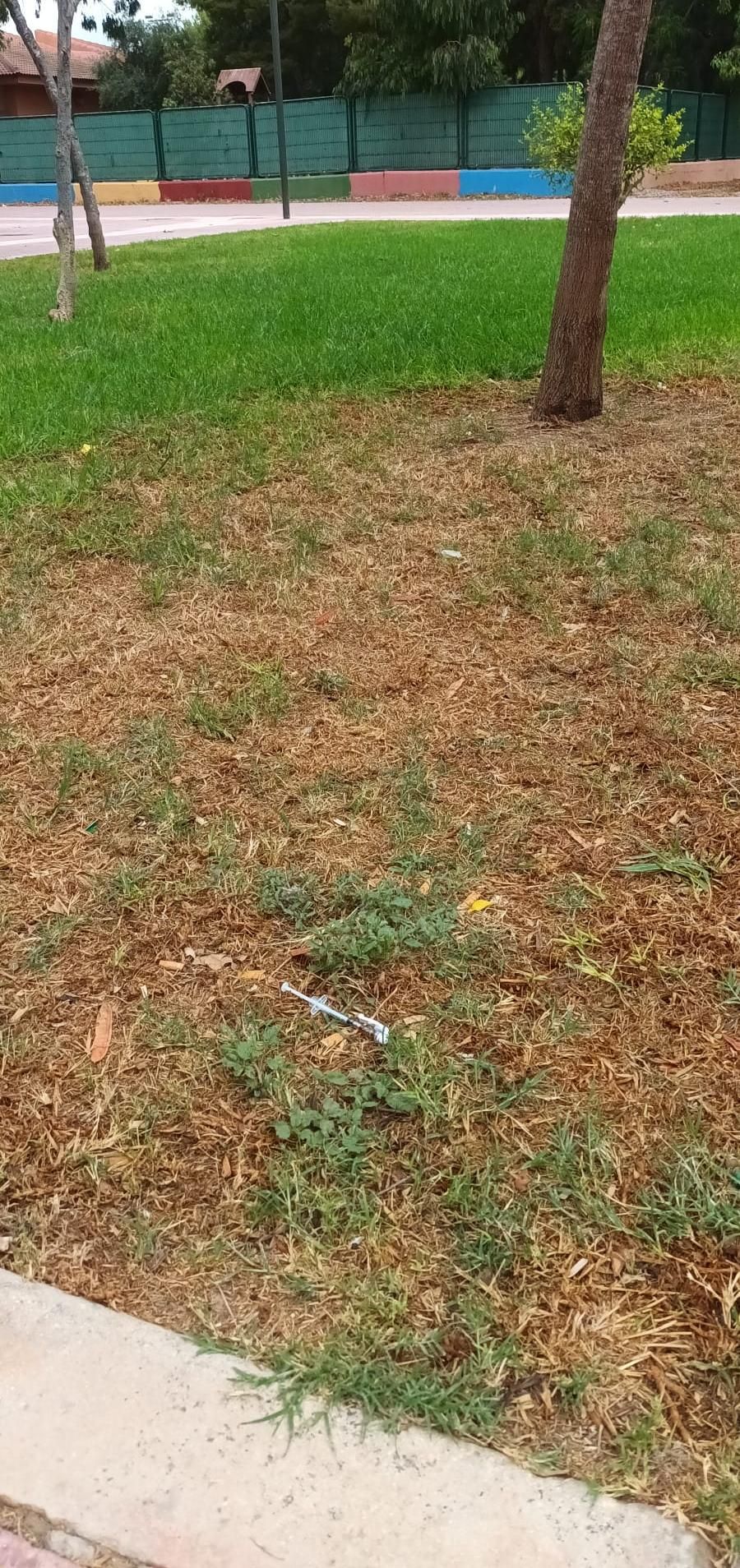 Una jeringuilla tirada frente al Colegio.