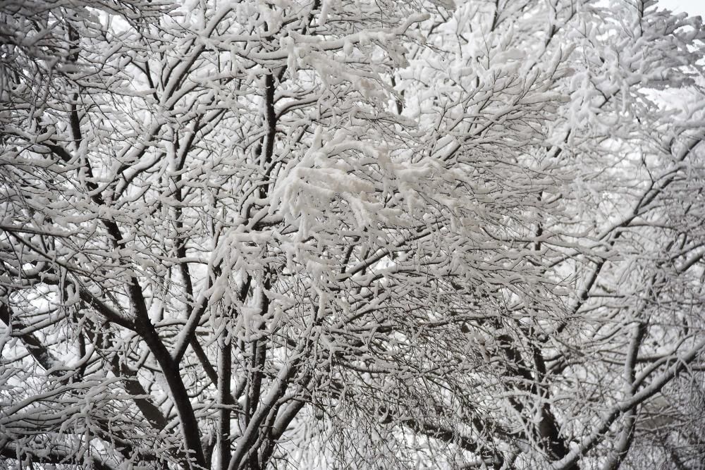 La neu arriba a Manresa