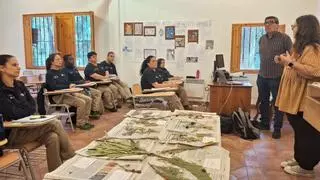 El bipartit de Vila-real replica al PP: el pla d’igualtat tampoc hauria garantit el taller d'ocupació
