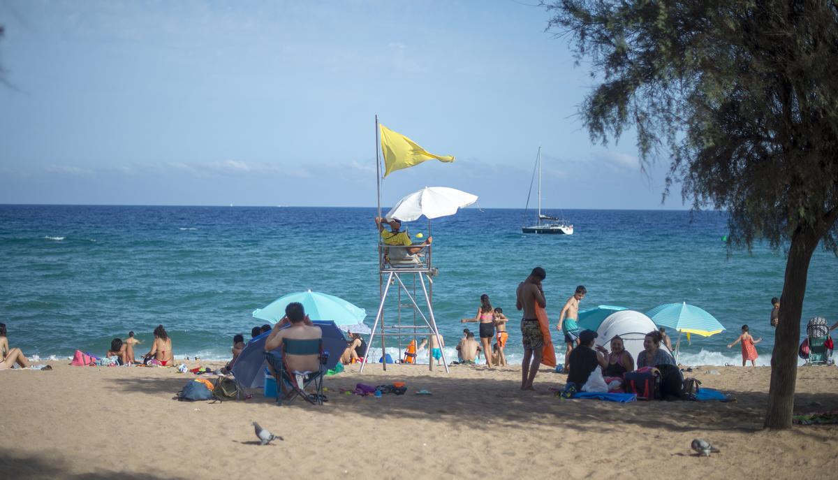 «No portarem més taules a la platja»: els banyistes de Badalona parlen sobre les sancions d’Albiol