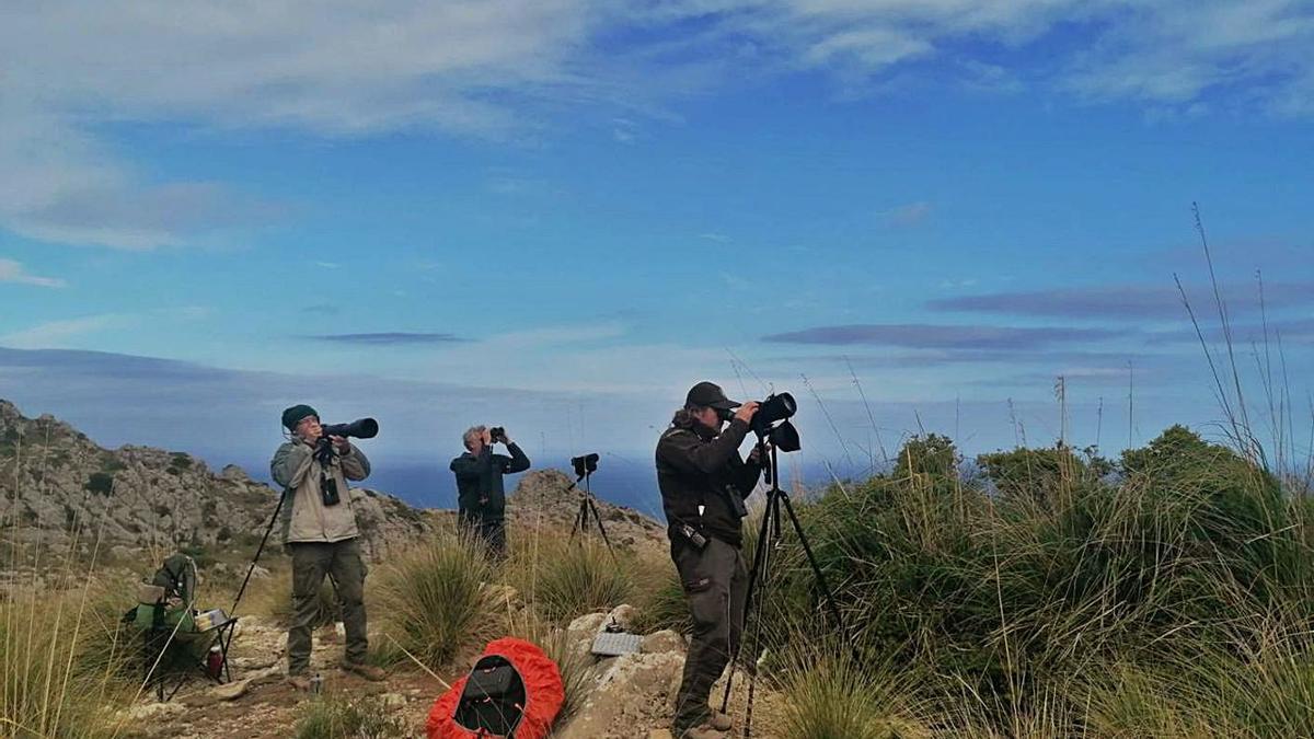 Imagen de los fotógrafos participantes en el censo del buitre negro este fin de semana. | GOVERN