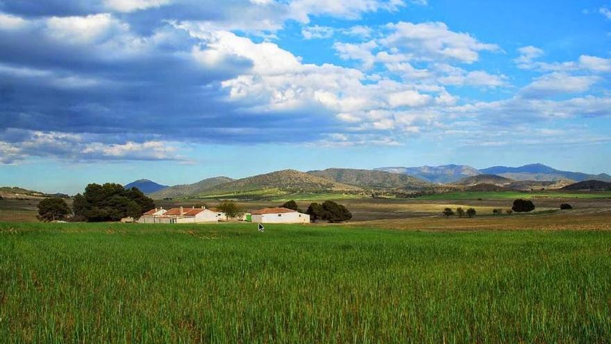 Proyectan construir una planta de biometano de 20 millones de euros