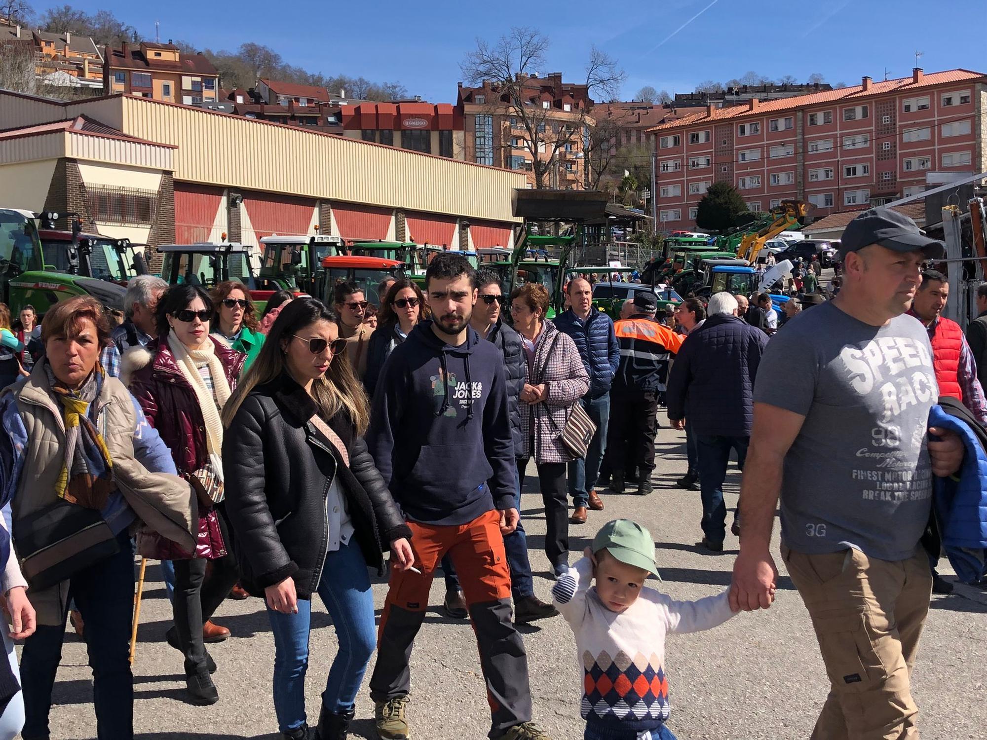 Tineo disfruta la feria ganadera de San José