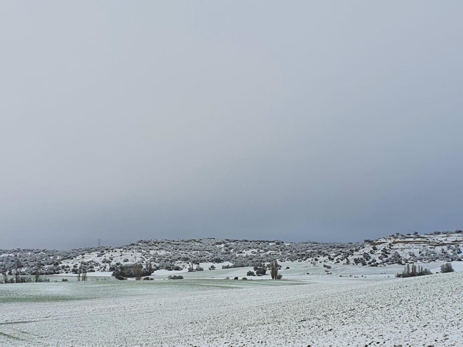 Nieve en Venialbo