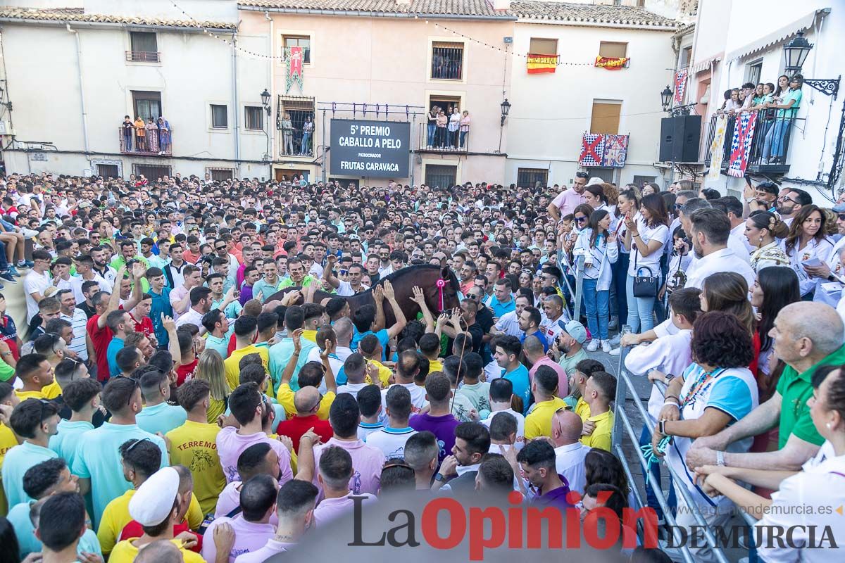 Entrega de premios del concurso morfológico de los Caballos del Vino de Caravaca