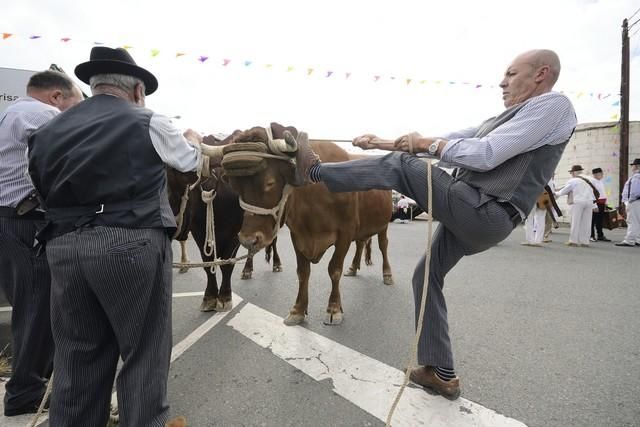 Romería del Carmen en La Isleta