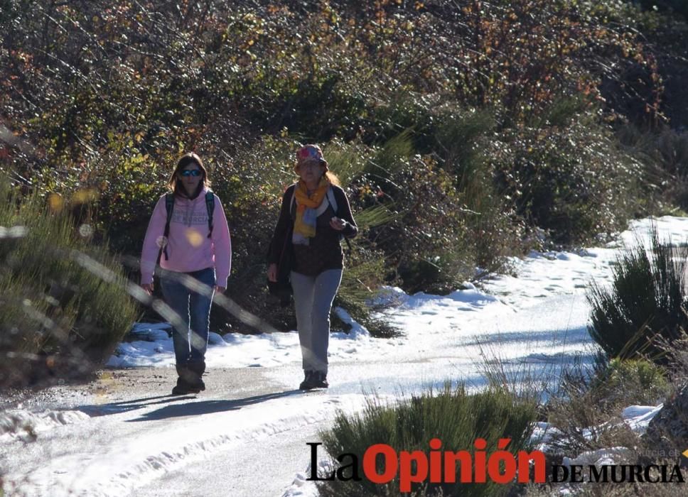 Nieve en Revolcadores