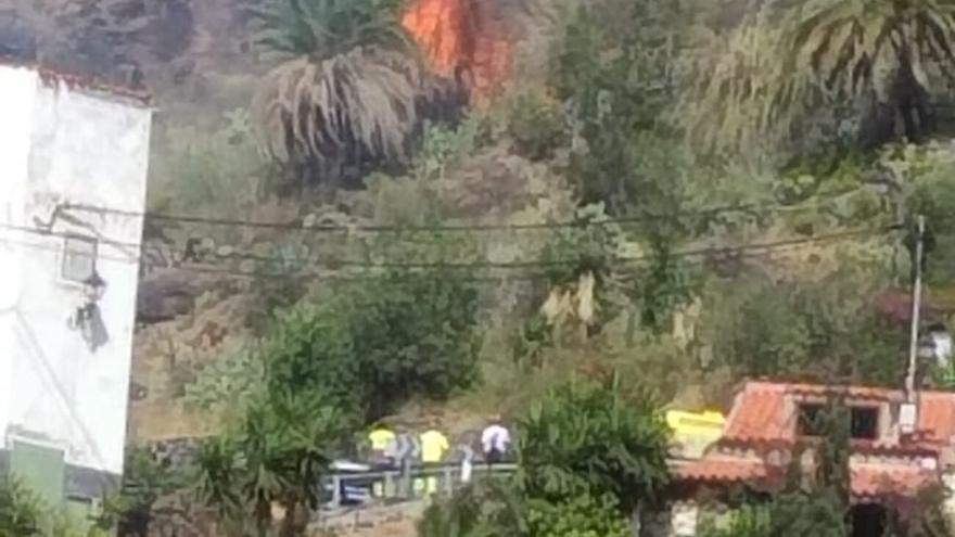 Incendio forestal en un palmeral de Fataga