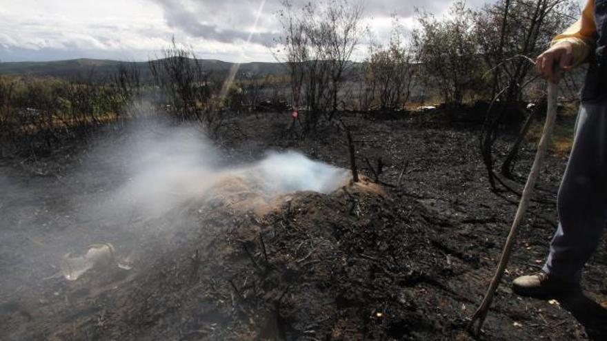 Terreno carbonizado en el incendio de Santa Cruz de Abranes en 2012.