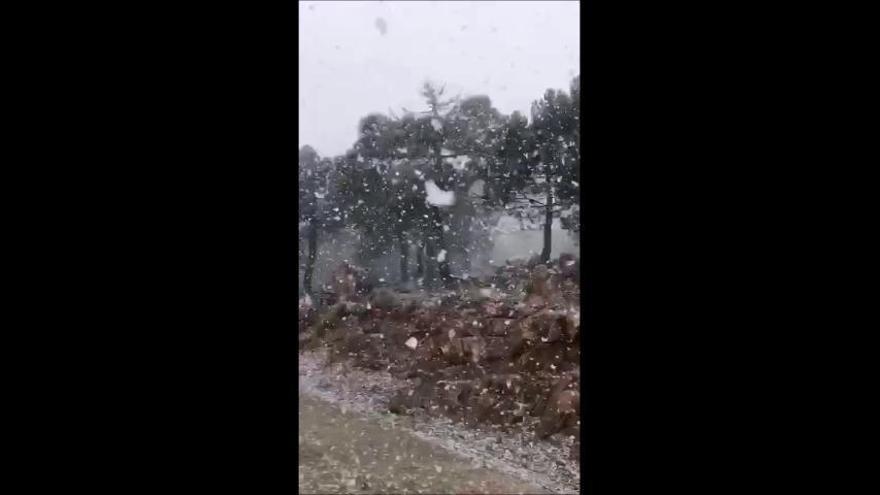 Primeras nieves en los picos más altos de Málaga