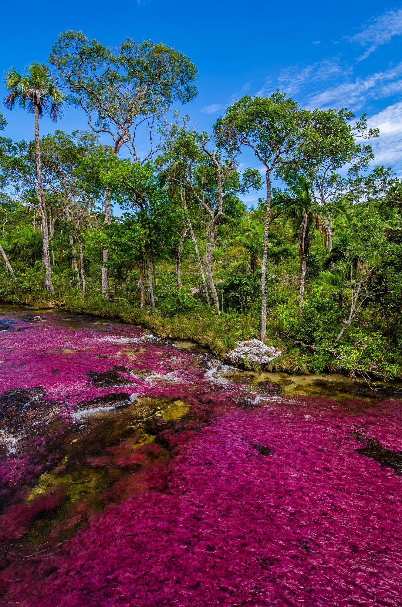 El río de los Cinco Colores de Colombia