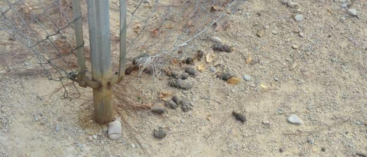 Residentes protestan por el mal estado de un pipicán en el Barrio del Cristo