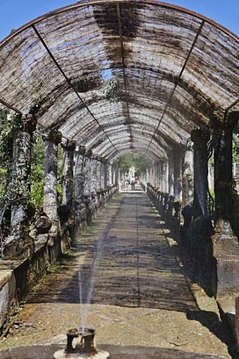 Die Kunsthistorikerin Júlia Ramon erklärt auf einem Rundgang durch die Jardins d’Alfàbia, aus welcher Zeit die Allee, die Wasserspiele und die Bäume stammen