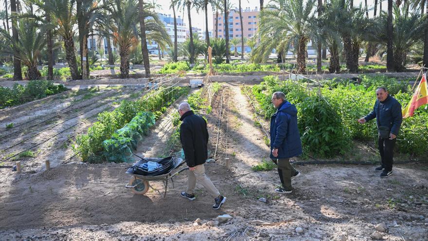 Compromís demanda ampliar el Hort de Felip con 34 nuevas parcelas ecológicas