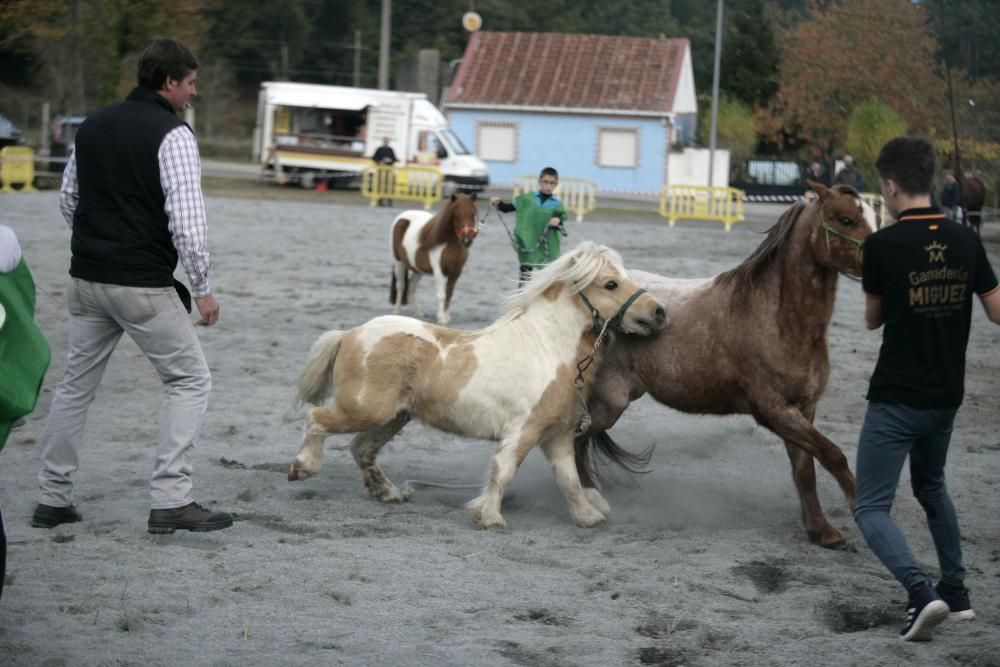 San Martiño 2018 en A Estrada