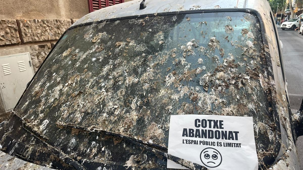 Uno de los coches abandonados que denuncia Flipau amb Pere Garau.