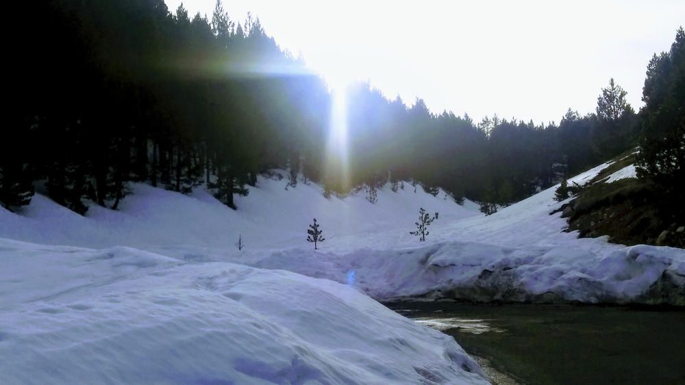Lluminositat. Darrere la frondositat dels arbres apareixia un raig de sol que donava llum a la neu i es reflectia sobre l’aigua.